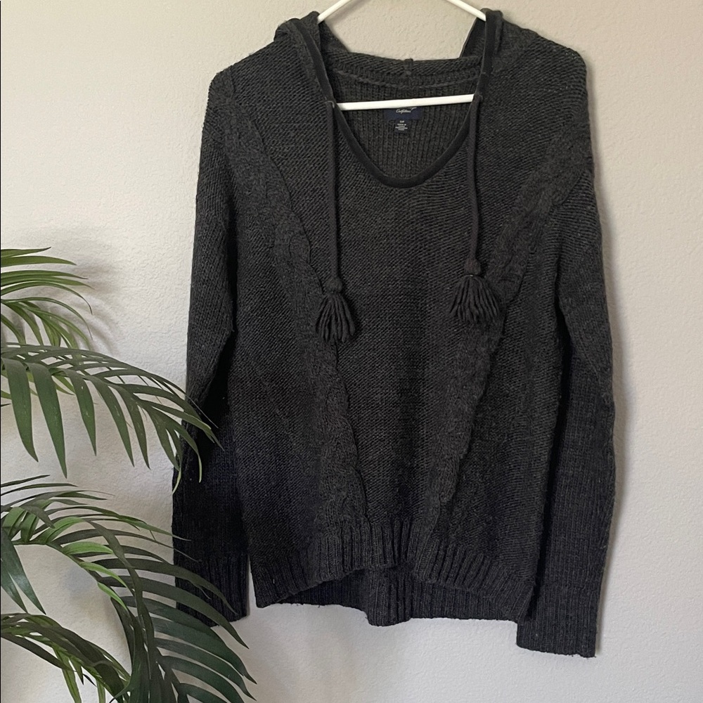 American Eagle Outfitters Charcoal Hooded Sweater